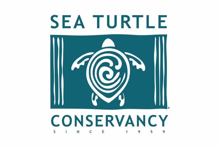 hotjobs_Sea_Turtle_Conservancy_logo